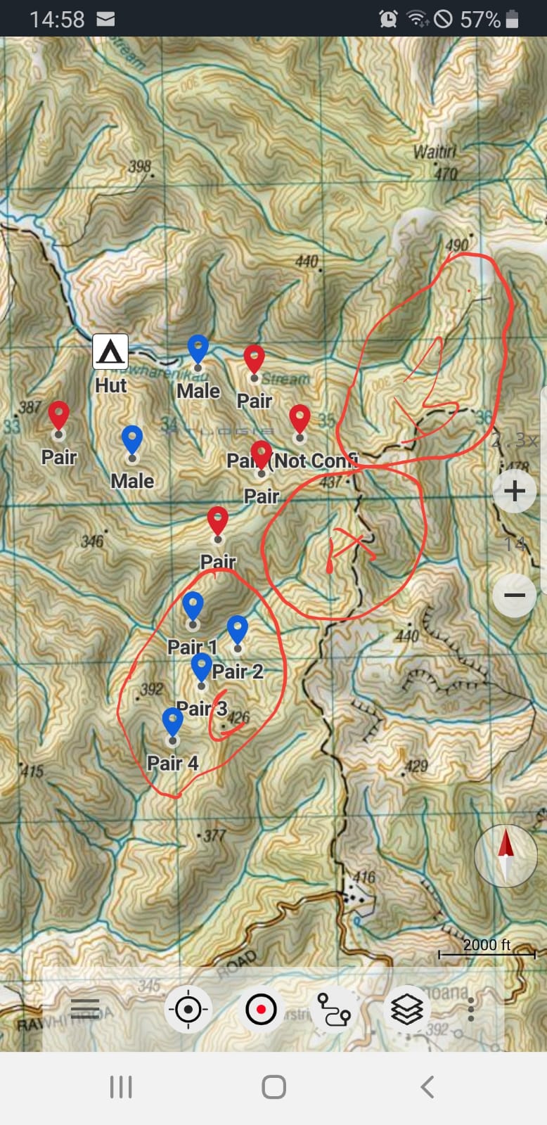Topographic map of the 800 Trust kiwi area showing kiwi pairs and males recorded in 2020