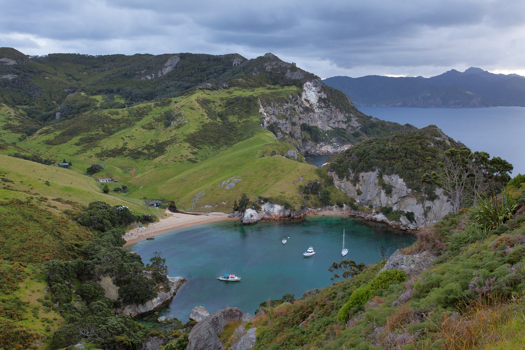 Rakitu Island cove