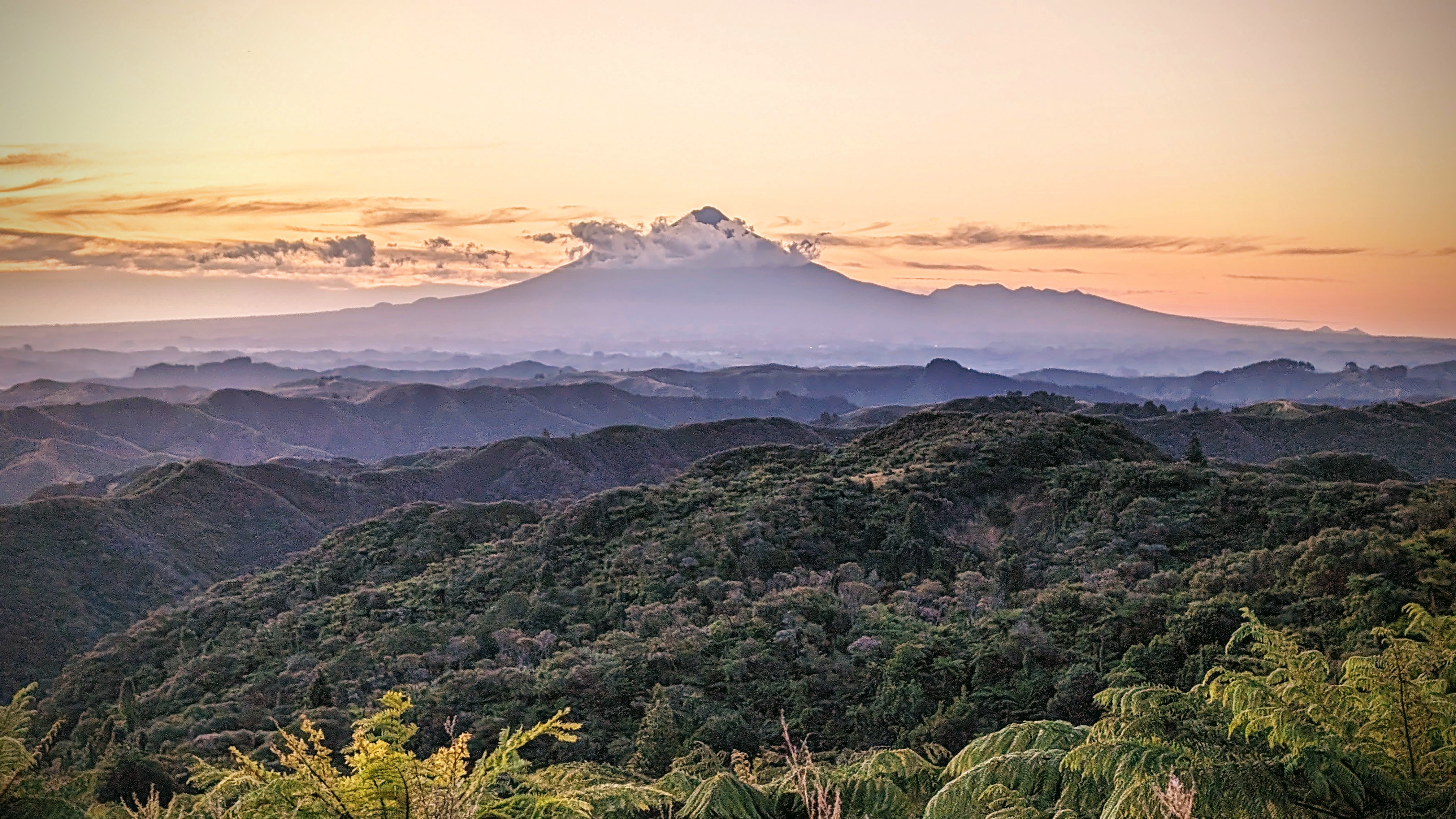 Dawn over the forested hill country of eastern Taranaki with Taranaki Maunga behind